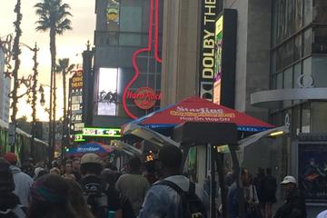 Private Los Angeles City Tour