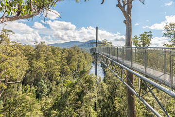 Huon Valley Small-Group Tour from Hobart