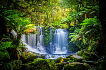 Mt. Field, Mt. Wellington, Bonorong Wildlife Sanctuary and Richmond Day Tour