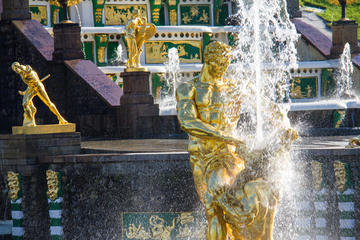 Private Peterhof Tour from St Petersburg (Priority Access)