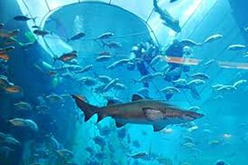 Dubai and Shopping Tour from Abu Dhabi