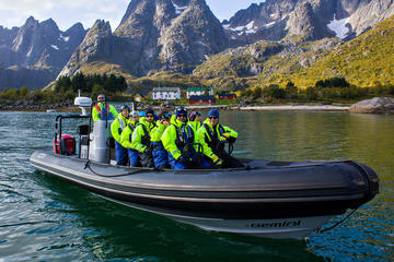 Sea Eagle Safari to Trollfjorden