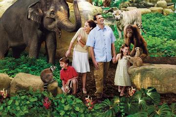 Singapore Zoo Admission Ticket