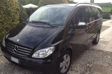 Shared Departure Transfer: Florence Hotels to Florence Airport