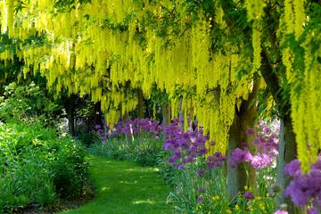 VanDusen Botanical Garden Admission