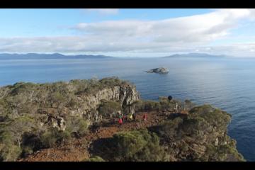 Deluxe Electric Mountain Bike Adventure  of Historic Private Forestier Peninsula