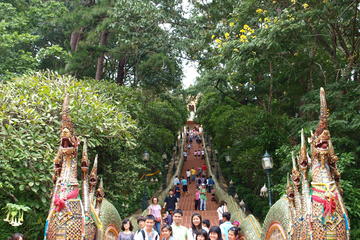 Doi Suthep temple, White temple and hiking to Khun korn waterfall in the bamboo forest