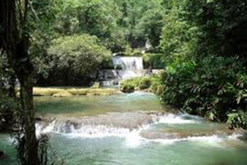 Mayfields Falls Tour Jamaica