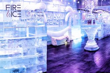 Ice Bar and Experimental Cocktail Lounge Experience