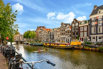 Private Tour: Amsterdam City Walking Tour