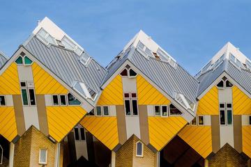 Private Tour: Rotterdam Walking Tour Including Harbor Cruise