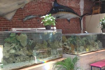 90 Minute Morning Tour of World Aquarium in Saint Louis