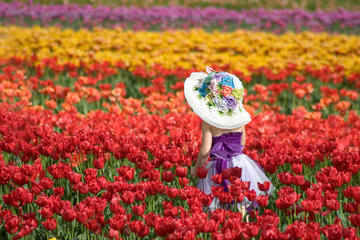 Tesselaar Tulip Festival: General Entry Ticket