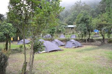 Camping Experience Trip