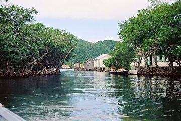 Roatan Mangrove Tunnel Eco Tour And Beach