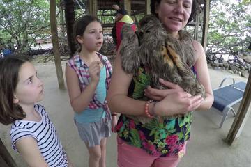Roatan Monkey, and Sloths Sanctuary and Offshore Snorkel and Beach