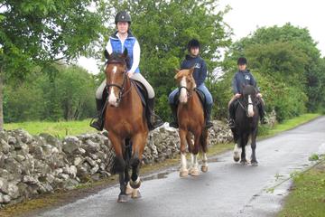 Horse Riding Experience