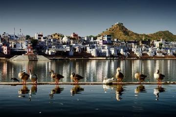 Same Day Pushkar Trip