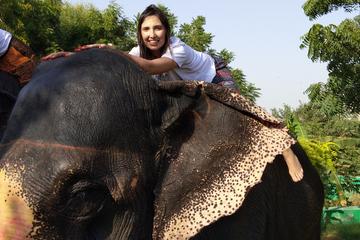 Royal Golden Triangle Tour