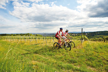 Private Tour: Vienna Woods and Kahlenberg Mountain Bike Ride