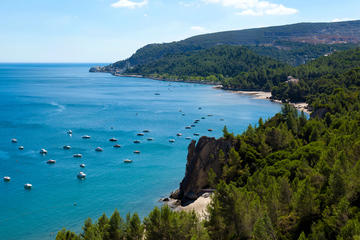 VISIT CRISTO-REI, ARRABIDA AND SETUBAL IN A FULL DAY PRIVATE TOUR