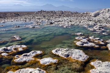 Atacama Salt Flat and Toconao Tour from San Pedro