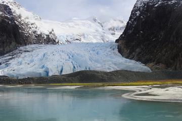 Balmaceda and Serrano Glaciers Sightseeing Cruise from Puerto Natales