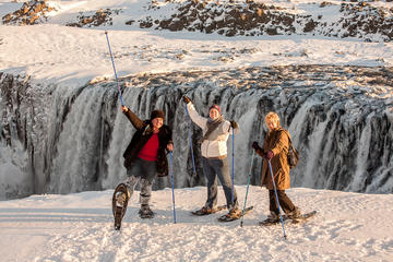 Dettifoss Waterfall Tour from Akureyri