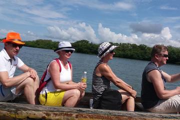 Cartagena Mangrove Tour
