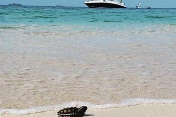 Full-Day Private Rosario Island