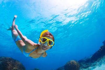 Full-Day Snorkeling Tour