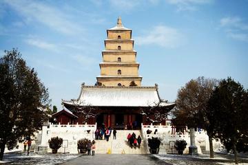 Half Day Private Tour of City Overview in Xi'an