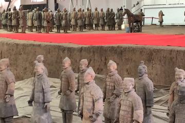 Xi'an Day Trip of Terracotta Warriors, City Wall, Big Wild Goose Pagoda
