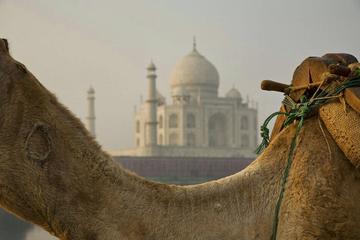 Golden Tringle1Night 2 Days Tour