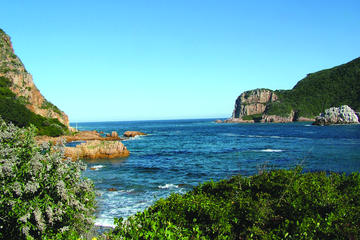 Four day Garden Route escorted tour