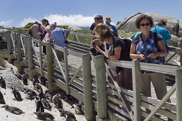 Full day Combo, Cape Point and Winelands Tour