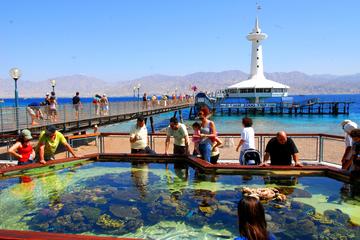 Admission Ticket: Underwater Observatory Marine Park