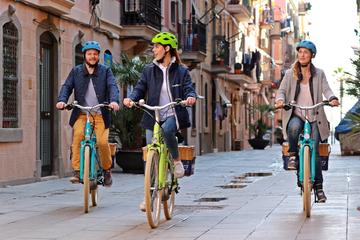 Small-Group Montjuic E-Bike Tour in Barcelona