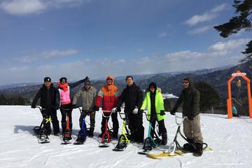 Snow scoot tour