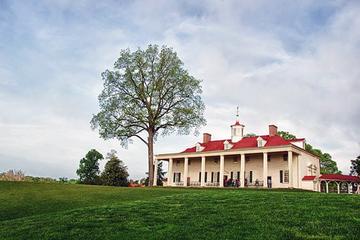 Mount Vernon and Old Town Alexandria Tour