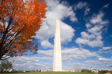 Viator Exclusive: Washington Monument Reserved Admission with DC Landmarks and Memorials Tour