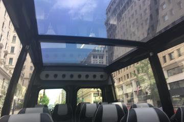 Washington D.C. Private Tour by Glass-Top Convertible Vehicle