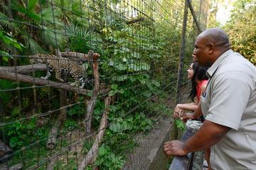 The Belize Zoo Admission Ticket