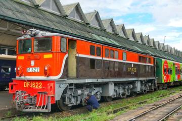 Experience the Circular Train Ride and Social Enterprise Workshops