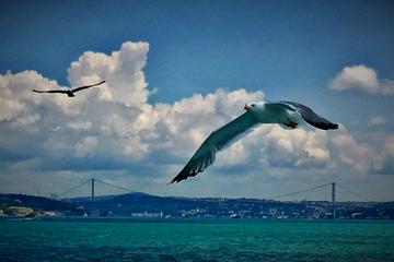Istanbul Two Continents and Backstreets