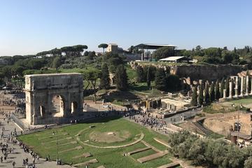 Private tour of the Colosseum, Roman forum and Palatine hill