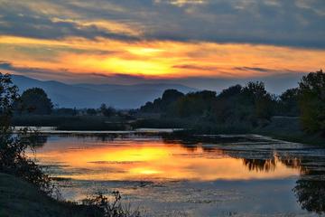 Lake Kerkini Wildlife Day Trip from Thessaloniki