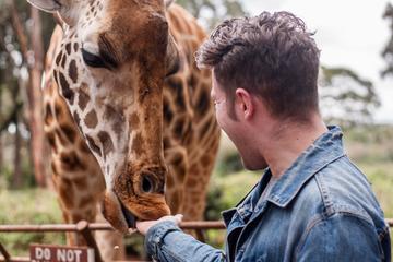 Half Day excursion to David Sheldrick and Giraffe center
