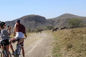 SAFARI DAY TRIP  AND  EXCURSION AT NAIVASHA