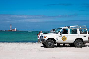 Fuerteventura Secret Beaches Tour by 4x4